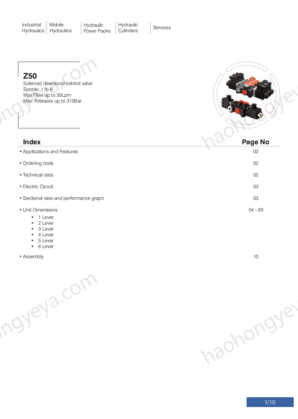 Z50 Hydraulic Solenoid Directional Control Valve.png
