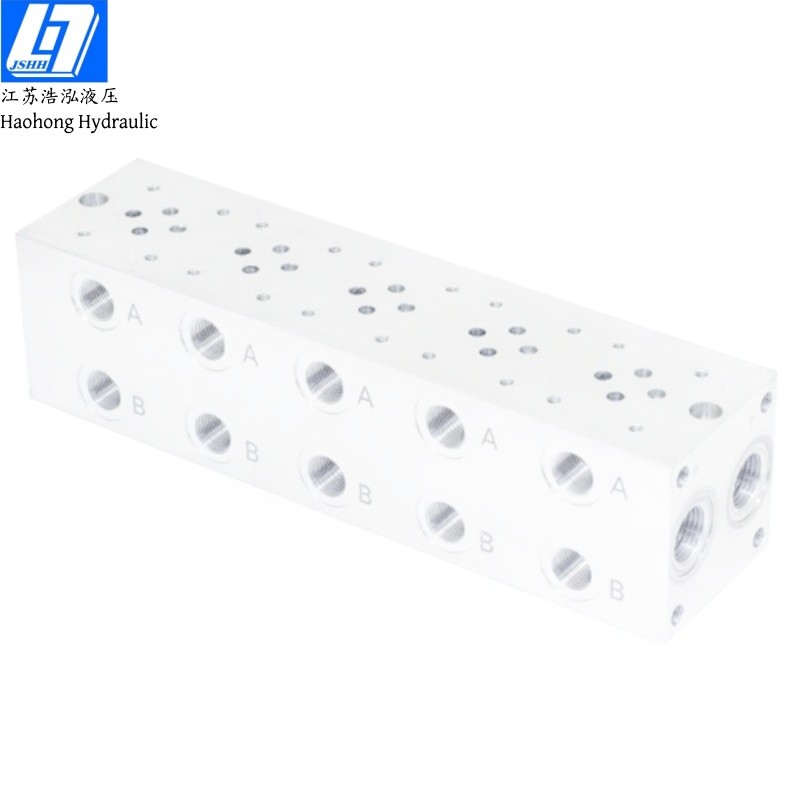 NG6 5 Sections Hydraulic Blocks