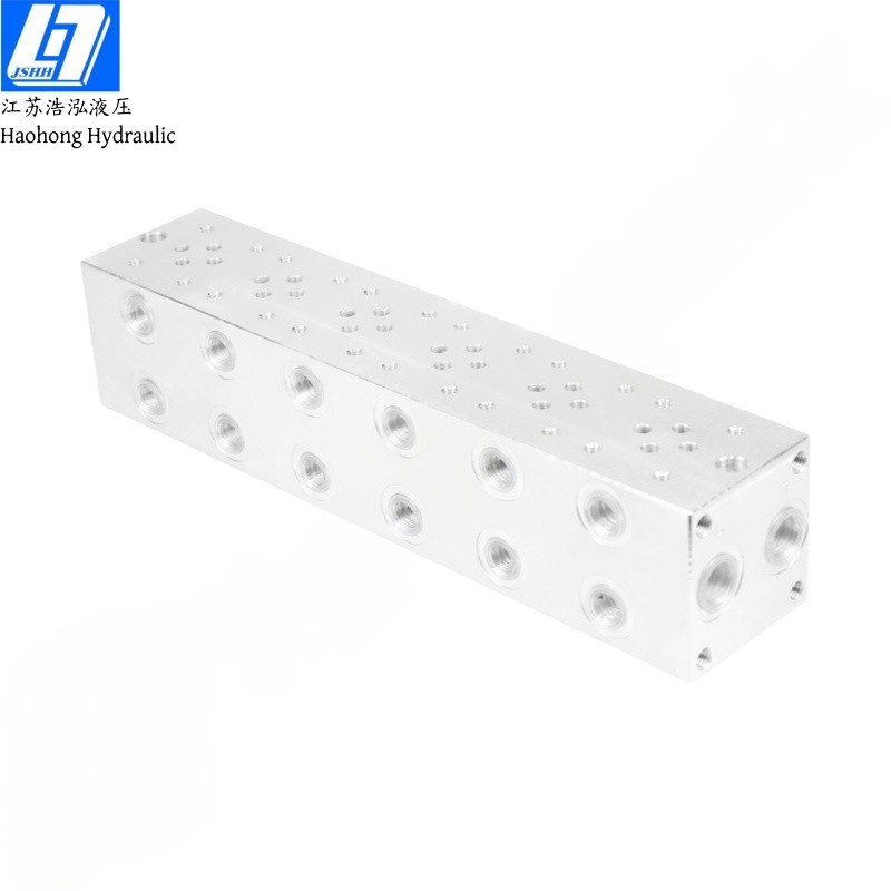 NG6 6 Sections Hydraulic Blocks